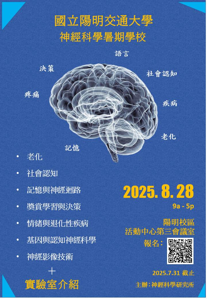 這是一張圖片